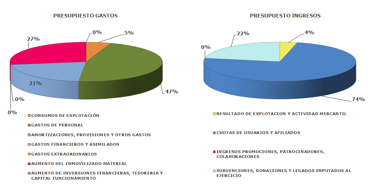 Gráficos presupuesto